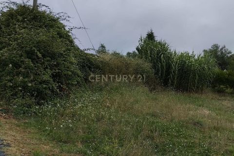 Terra a Soure, Coimbra, Soure - € 12.000 | Ref: C0381-00602 - foto 8