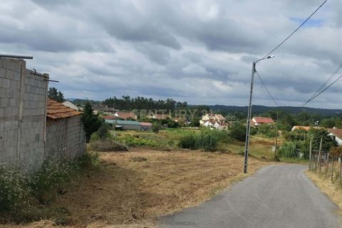 Terra a Soure, Coimbra, Soure - € 12.000 | Ref: C0381-00602 - foto 9