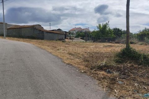 Terra a Soure, Coimbra, Soure - € 12.000 | Ref: C0381-00602 - foto 10