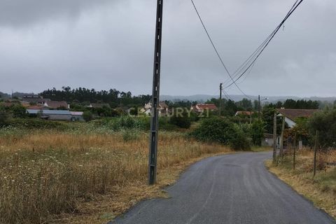 Terra a Soure, Coimbra, Soure - € 12.000 | Ref: C0381-00602 - foto 11