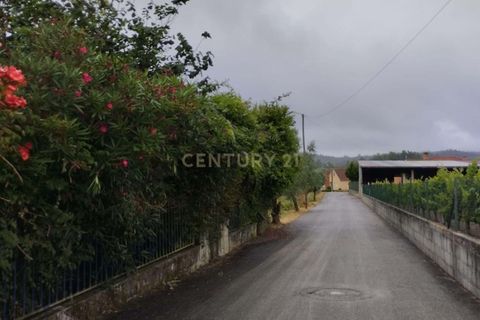 Terra a Soure, Coimbra, Soure - € 12.000 | Ref: C0381-00602 - foto 12