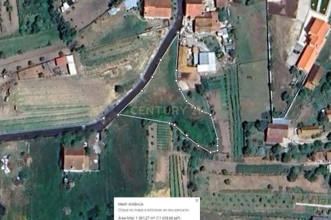 Terra a Soure, Coimbra, Soure - € 12.000 | Ref: C0381-00602 - foto 14