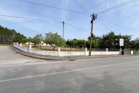 Villa i Pombal, Leiria, Pombal - € 315.000 | Ref: C0381-00765 - foto 31