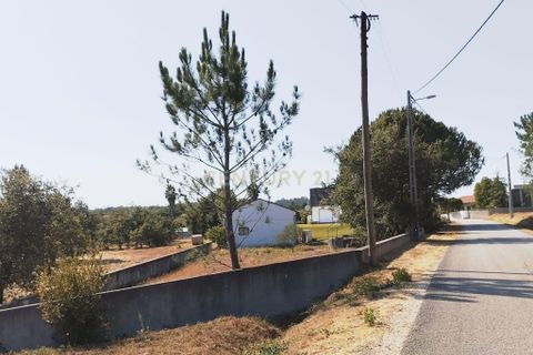Villa i Pombal, Leiria, Pombal - € 315.000 | Ref: C0381-00765 - foto 37