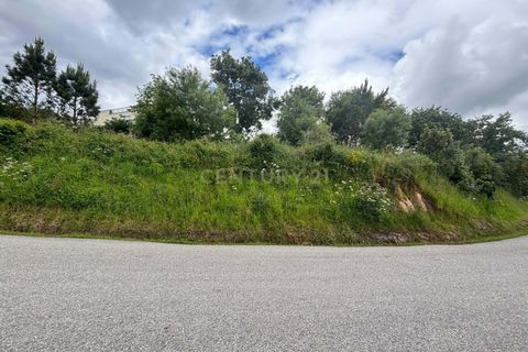 Terra a Gesteira e Brunhos, Coimbra, Gesteira e Brunhos - € 36.000 | Ref: C0381-00760 - foto 2