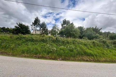 Terra a Gesteira e Brunhos, Coimbra, Gesteira e Brunhos - € 36.000 | Ref: C0381-00760 - foto 3