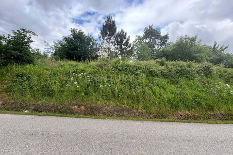 Terra a Gesteira e Brunhos, Coimbra, Gesteira e Brunhos - € 36.000 | Ref: C0381-00760 - foto 4