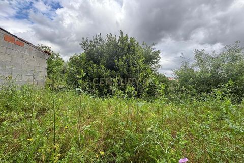 Terra a Gesteira e Brunhos, Coimbra, Gesteira e Brunhos - € 36.000 | Ref: C0381-00760 - foto 5