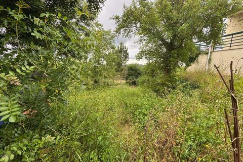 Terra a Gesteira e Brunhos, Coimbra, Gesteira e Brunhos - € 36.000 | Ref: C0381-00760 - foto 6