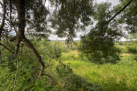 Terra a Gesteira e Brunhos, Coimbra, Gesteira e Brunhos - € 36.000 | Ref: C0381-00760 - foto 7