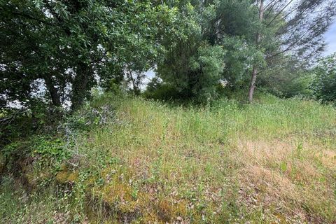 Terra a Gesteira e Brunhos, Coimbra, Gesteira e Brunhos - € 36.000 | Ref: C0381-00760 - foto 9