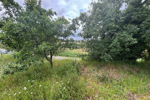 Terra a Gesteira e Brunhos, Coimbra, Gesteira e Brunhos - € 36.000 | Ref: C0381-00760 - foto 10