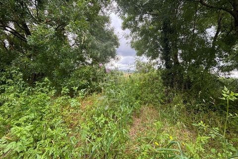 Terra a Gesteira e Brunhos, Coimbra, Gesteira e Brunhos - € 36.000 | Ref: C0381-00760 - foto 11