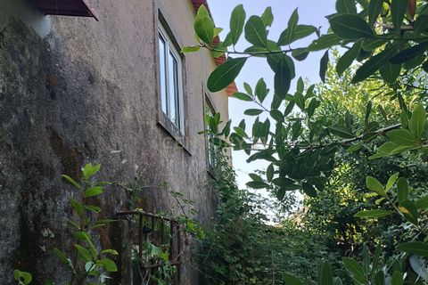 Villa i Soure, Coimbra, Soure - € 65.000 | Ref: C0381-00768 - foto 24