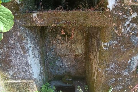 Villa i Soure, Coimbra, Soure - € 65.000 | Ref: C0381-00768 - foto 29