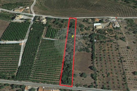 Helårsgrund i Silves, Faro, Silves - € 150.000 | Ref: 120141048-2735 - foto 1