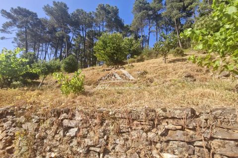 Villa a Portes, Gard, Portes - € 284.000 | Ref: 2455 - foto 34