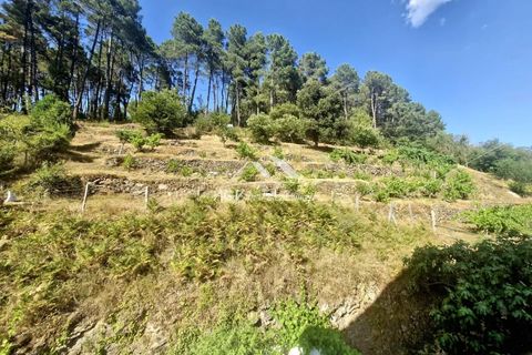 Villa a Portes, Gard, Portes - € 284.000 | Ref: 2455 - foto 35