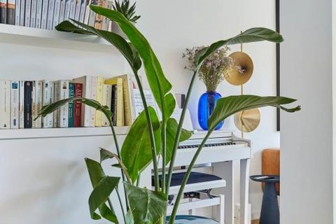 Lejlighed i Paris, Paris, Paris - € 1.690.000 | Ref: getkey_u_478889909 - foto 11