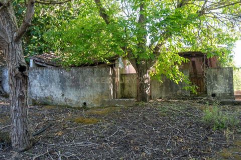 Villa i Alenquer, Lisbon, Alenquer - € 299.000 | Ref: C0500-00143 - foto 18