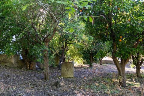 Villa i Alenquer, Lisbon, Alenquer - € 299.000 | Ref: C0500-00143 - foto 20