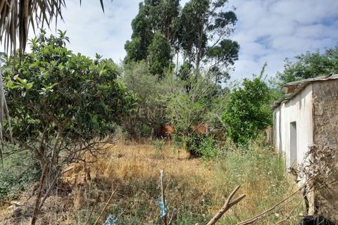Helårsgrund i Ourique, Beja, Ourique - € 149.900 | Ref: C0240-02708 - foto 2