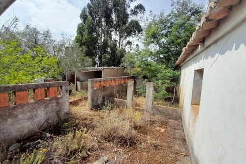 Helårsgrund i Ourique, Beja, Ourique - € 149.900 | Ref: C0240-02708 - foto 4