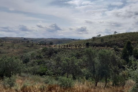 Helårsgrund i Ourique, Beja, Ourique - € 149.900 | Ref: C0240-02708 - foto 9