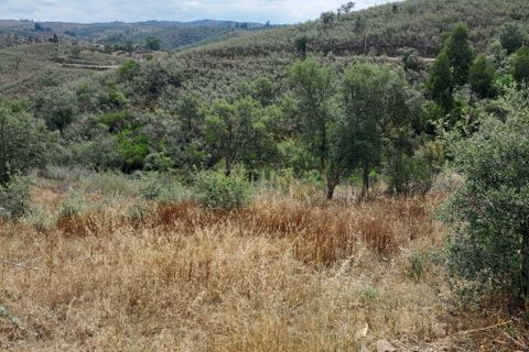 Helårsgrund i Ourique, Beja, Ourique - € 149.900 | Ref: C0240-02708 - foto 10