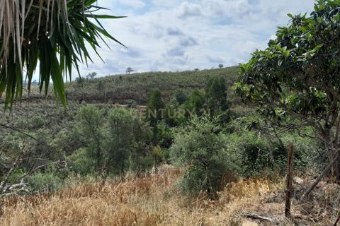 Helårsgrund i Ourique, Beja, Ourique - € 149.900 | Ref: C0240-02708 - foto 11
