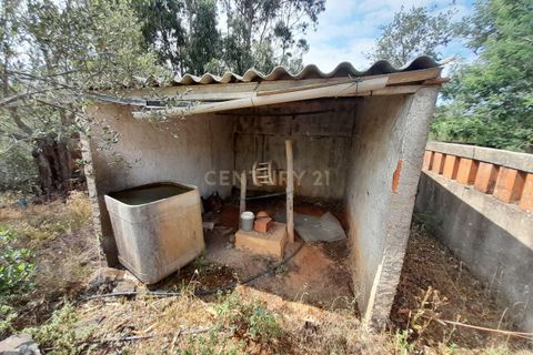 Helårsgrund i Ourique, Beja, Ourique - € 149.900 | Ref: C0240-02708 - foto 12