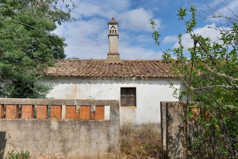 Helårsgrund i Ourique, Beja, Ourique - € 149.900 | Ref: C0240-02708 - foto 14