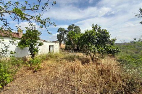 Helårsgrund i Ourique, Beja, Ourique - € 149.900 | Ref: C0240-02708 - foto 16