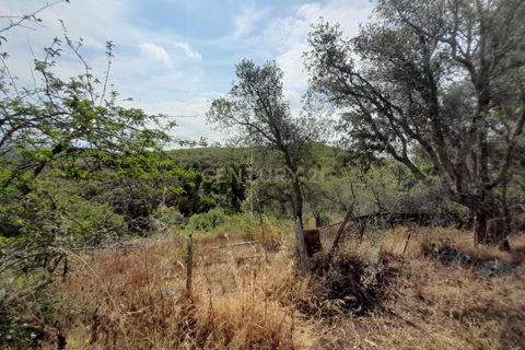 Helårsgrund i Ourique, Beja, Ourique - € 149.900 | Ref: C0240-02708 - foto 17