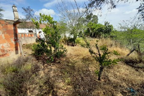 Helårsgrund i Ourique, Beja, Ourique - € 149.900 | Ref: C0240-02708 - foto 19
