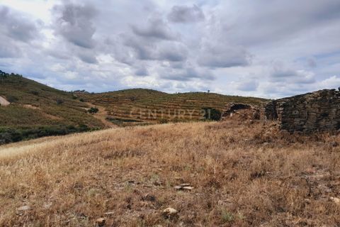 Helårsgrund i Ourique, Beja, Ourique - € 149.900 | Ref: C0240-02708 - foto 38