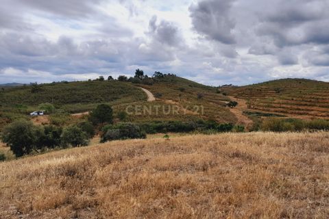 Helårsgrund i Ourique, Beja, Ourique - € 149.900 | Ref: C0240-02708 - foto 42