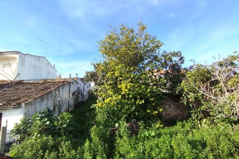 Helårsgrund i Silves, Faro, Silves - € 198.000 | Ref: C0240-03059 - foto 15