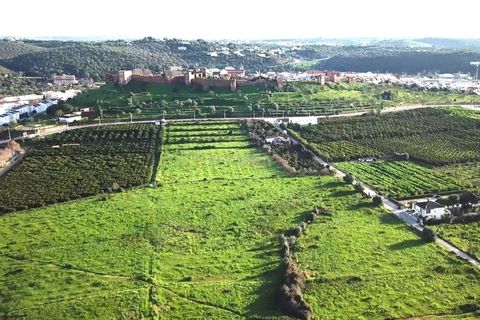 Villa i Silves, Faro, Silves - € 150.000 | Ref: C0240-03115 - foto 16