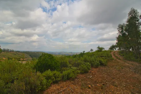 Helårsgrund i Monchique, Faro, Monchique - € 88.000 | Ref: C0240-02824 - foto 7