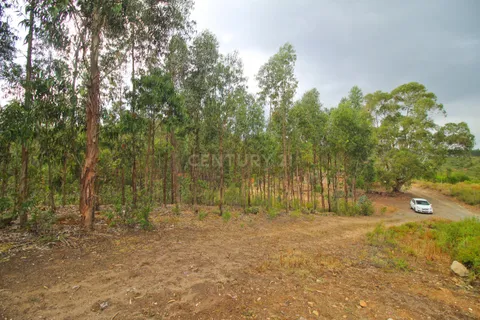 Helårsgrund i Monchique, Faro, Monchique - € 88.000 | Ref: C0240-02824 - foto 9