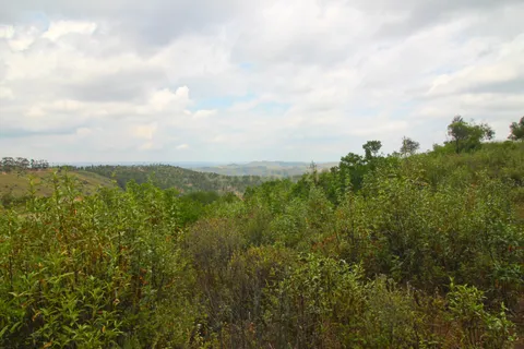 Helårsgrund i Monchique, Faro, Monchique - € 88.000 | Ref: C0240-02824 - foto 11