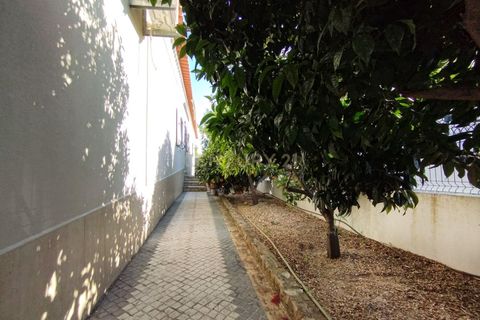 Villa a Almodovar, Beja, Almodovar - € 495.000 | Ref: C0240-02881 - foto 40