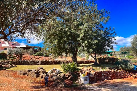 Villa i Silves, Faro, Silves - € 479.500 | Ref: C0240-03185 - foto 14