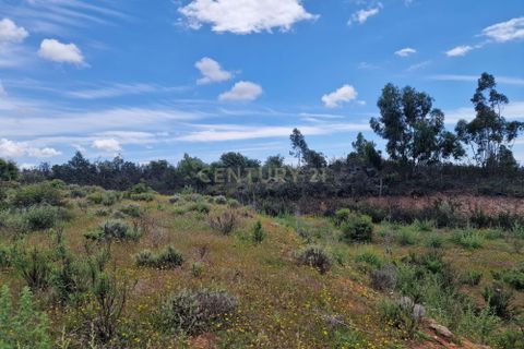 Helårsgrund i Alvor, Faro, Alvor - € 170.500 | Ref: C0240-03244 - foto 6