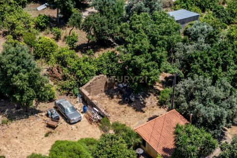 Helårsgrund i Monchique, Faro, Monchique - € 89.000 | Ref: C0240-03294 - foto 9