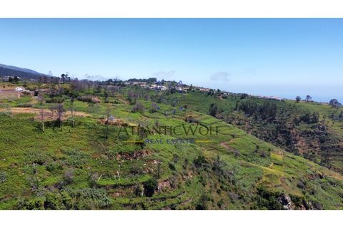 Helårsgrund i Calheta, Madeira, Calheta - € 105.000 | Ref: Wolf_018 - foto 3