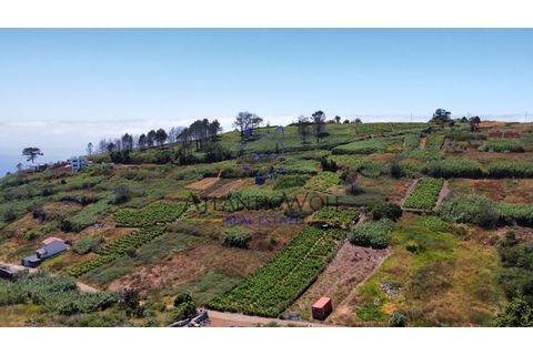 Helårsgrund i Calheta, Madeira, Calheta - € 105.000 | Ref: Wolf_018 - foto 4