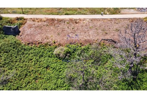 Helårsgrund i Calheta, Madeira, Calheta - € 105.000 | Ref: Wolf_018 - foto 7