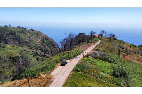 Helårsgrund i Calheta, Madeira, Calheta - € 105.000 | Ref: Wolf_018 - foto 11